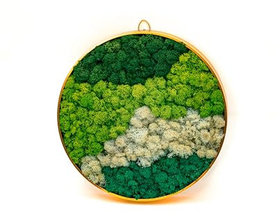 LivuX Natur Moosbild, Ø 30 cm, mit Haken zur Aufhängung, Grün – Wandbild, Wandkunst aus Naturmaterialien 1115