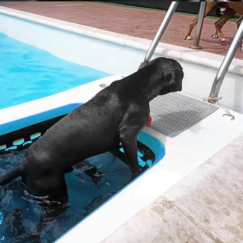 HNBYLMM Aufblasbare Hunde-Boots Rampe, Hunde Pool-Rampe für Hunde bis 50 KG, rutschfeste Aufblasbare Eva-Hundeplattform, Hoch Stabile Wasserrampe für Boot, Pool, Steg, See, Meer,Blue-150X100X10cm