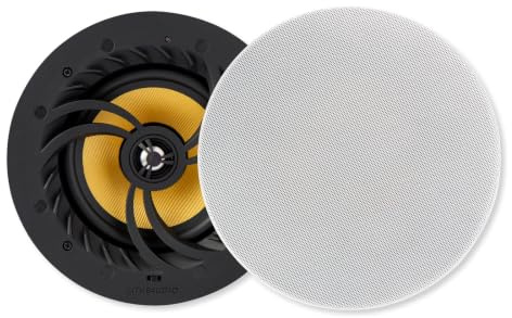 Lithe Audio 06610 Altavoz de techo Wi-Fi todo en uno, par