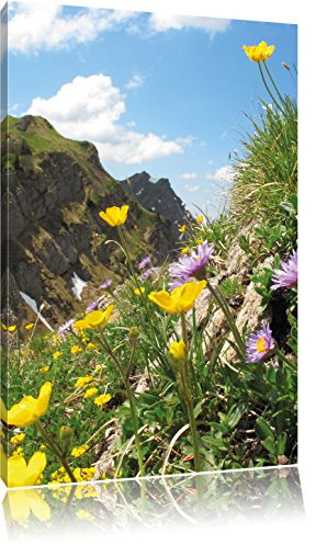 Pixxprint Blumenwiese im Frühling, Größe: 80x60cm, Leinwandbild, fertig gespannt, Wandbild, Dekoration, Kunstdruck, kein Poster