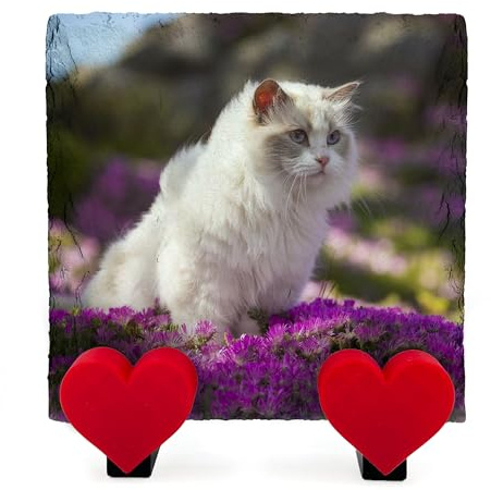 AMAZING Personalisierte quadratische Gedenktafel mit Foto und Text für Hund und Katze mit Herzständer - Größe 10x10 cm