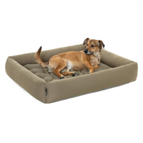 Pointer | Hundebett Große Hunde - Orthopädisches Hundebett mit Herausnehmbarer Matratze, Waschbar bis 95°C, Trocknergeeignet, Kratzfest & Bissfest, Made in Germany (XXXL - 110x100 cm, Goldbraun)