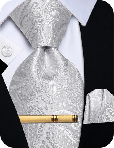 YourTies Silver Ties for Men Paisley Silk Necktie Pocket Square Cufflinks Tie Clip Set Wedding Party Business Formal