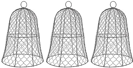 Pissente Verdickte Konstruktionspflanze Beschützer Cloche -Abdeckung, Set von 10 Gartenhuhn -Draht Cloche, Glockenform Design für Sämlinge, Ideal für Kaninchen und Hühnerschutz, Schwarzes