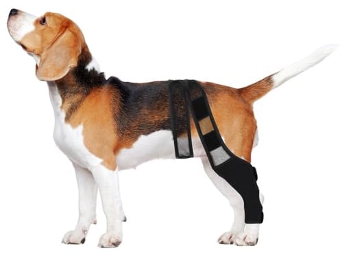 Hundebeinschiene, Atmungsaktive Stütze für Vorderläufe | Neopren und Mesh, Breite Riemen, für Verletzte Hunde bei Spaziergang und Genesung