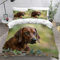NUYSP Bettwäsche 135x200 Kinder Rhodesian Ridgeback 3 teilig Bettwäsche-Set Haustier Welpe Jungs Teenager Bettbezug mit Reißverschluss Warme Weich Mikrofaser Bettwaren mit 2 Kissenbezug 80x80cm