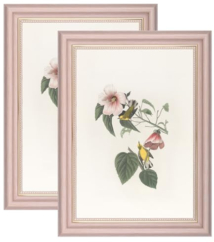 YoHyien A4 Vintage Photo Frames Set of 2, Distressed Shabby Chic Picture Frames with Mount for Wall Hanging, Landscape and Portrait Retro Postcard Frame for Desktop Display (Pink, 21 x 30 cm)