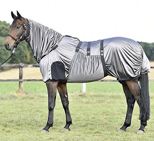 Protector para eczema fuerte de Busse, antracita, longitud del respaldo: 125 cm