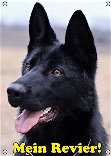 Petsigns Hundeschild schwarzer Deutscher Schäferhund - haltbares Metallschild in 1a Fotoqualität, DIN A4