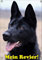 Petsigns Hundeschild schwarzer Deutscher Schäferhund - haltbares Metallschild in 1a Fotoqualität, DIN A4