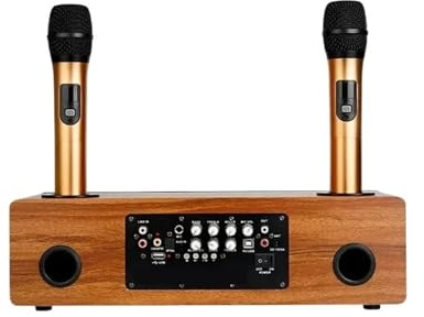 Professional Echo Wireless Karaoke Singing System Include 2Channel Microphone Bluetooth Speaker Amplifier For Home KTV Clear Sound Pick Up