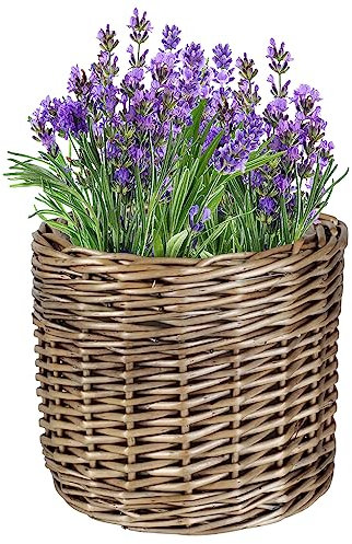 Dibor Natural Willow Wicker Planter Indoor/Outdoor Plastic Lined Rattan Flower Pot Strawberry Herb Plant Pot (S)
