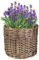 Dibor Natural Willow Wicker Planter Indoor/Outdoor Plastic Lined Rattan Flower Pot Strawberry Herb Plant Pot (S)