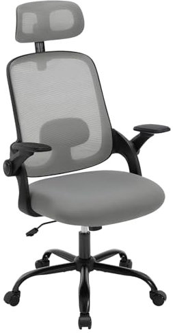 WOLTU Chaise de Bureau Ergonomique, en Maille, Appui-tête et Accoudoirs Réglables, Fauteuil de Bureau avec Support Lombaire, Dossier Inclinable, Gris