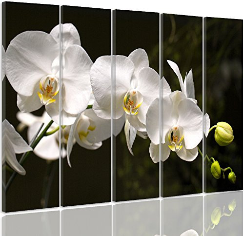 Feeby Tableau sur Toile orchidée 5 pièces noir et blanc 200x100 cm