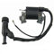 VOANZO Accesorios de generador de Gasolina de Bobina de Encendido 168F para generador de Gasolina 168F 2KW/3KW