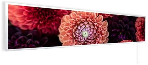 Könighaus Bildinfrarotheizung 120x30 cm - 450 Watt mit Thermostat | 5 Jahre Garantie | Doppelter Überhitzungsschutz | Ultraflacher Heizkörper für 3-9 m² | Motiv: Dahlien
