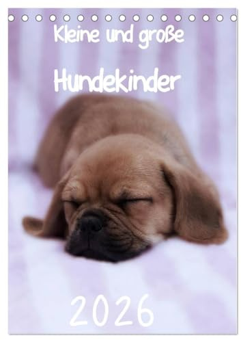 Kleine und große Hundekinder 2026 (Tischkalender 2026 DIN A5 hoch), CALVENDO Monatskalender: Der Welpenkalender für alle Hundefreunde (CALVENDO Tiere)