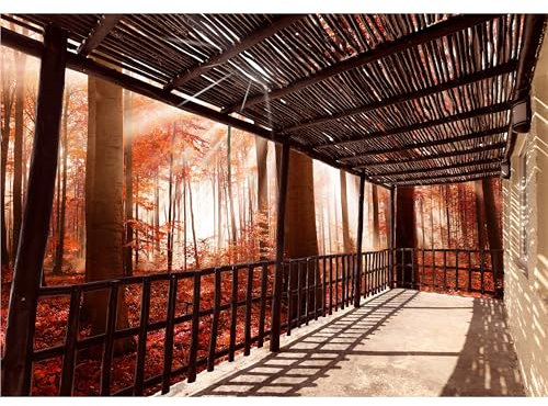 decomonkey Fototapete selbstklebend Tarrase Wald, 245x175 cm, Herbst Natur