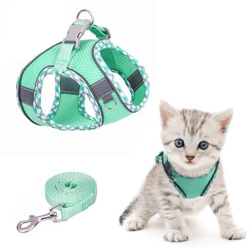 Brifit Verstellbares Katzengeschirr Ausbruchsicher mit Leine Ausbruchsicher, Softgeschirr für Katze Brustgeschirr mit Reflektierenden Streifen, Katzenleine mit Geschirr [XXS]Anwendbares Gewicht: 2-3kg