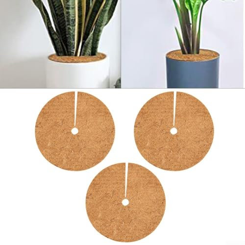 Discos de mantillo de fibra de coco para uso en jardín, protegen las plantas y mejoran el crecimiento con alfombrillas de coco natural, paquete de 3 (35 cm)