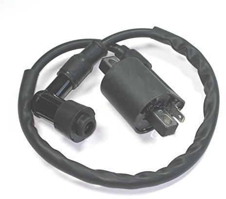 Carkio Bobine d'allumage 110 125 150 200 CC 250 CC ATV Cyclomoteur Go Kart chinois Vélo Quad TaoTao