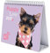 Erik® Studio Pets Dogs Deluxe Tischkalender 2020 (17x20 cm)