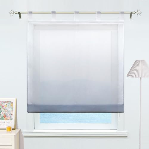 ESLIR Raffrollo mit Schlaufen Gardinen Küche Raffgardinen Transparent Schlaufenrollo Vorhänge Farbverlauf Voile Grau BxH 80x140cm 1 Stück