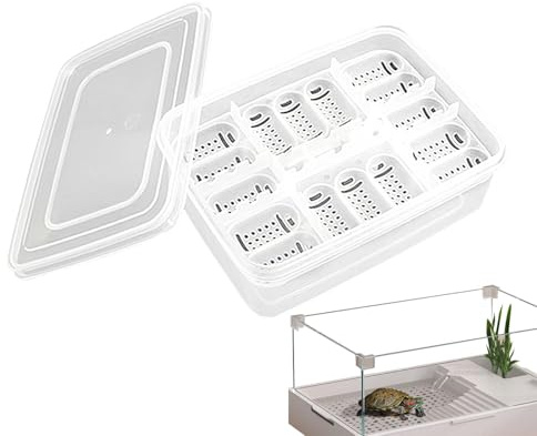 Caja de incubación de reptiles, bandeja transparente para incubación de huevos de reptiles, caja de incubación, bandeja de incubación, caja de incubación, caja de incubación para gecko, lagartos