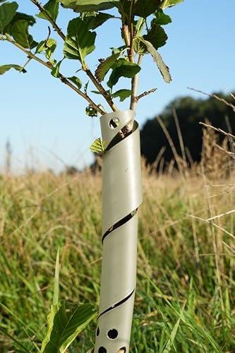 10 Baumschutz Spiralen biologisch abbaubar, zerfällt, auflöst, zerbröckelt, farngrün 60cm hoch Ø3,5cm Stamm-Schutz Bäume Verbiss Fraßschäden Baum Rinden Schutz Baumschutzspirale