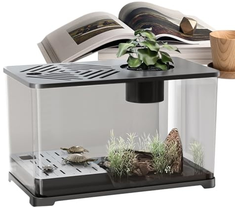 Pishard Dekoration für den Schreibtisch, modern, Dekoration des Hauses, Panorama, HD, Turtle, Rest, Area, Container, Betta Jellyfish Guppy Creacs, Wasserkultivierung, Anzeige von Schreibtisch