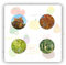45 pezzi semi decorativi di quercia - semi di alberi piante in vaso, Quercus palustris, semi alberi da giardino acquista di sostenibilità piante rare alberi bonsai acquista