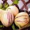 30 Stück/Beutel Pepino-Melonensamen, gentechnikfrei, pflegeleicht, nahrhaft, Muricatum Aiton-Samen, Ginseng-Fruchtsamen, Gartensamen zum Pflanzen Pepino-Melonensamen