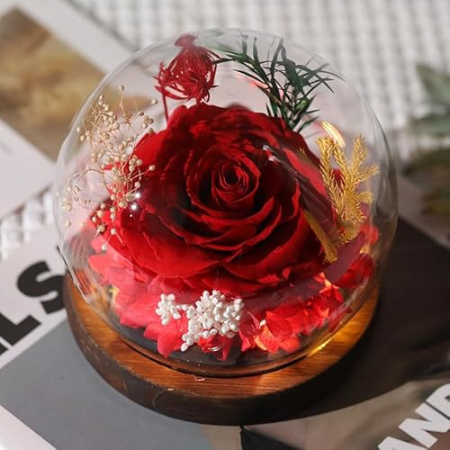 Gugxiom Rose éternelle avec couverture en verre et base en bois - Fleur éternelle pour décoration de cadeau d'anniversaire ou d'anniversaire de mariage (Rouge)