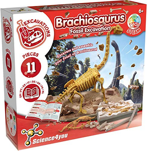 Science4you - Brachiosaurus Dino Ausgrabungsset - Archeologie Set Fur Kinder mit 11 Teilen, Graben Sie Ihr Dinosaurier Spielzeug - Ideale Experimentierkasten, Geschenk und Lernspiel für Kinder 6 Jahre