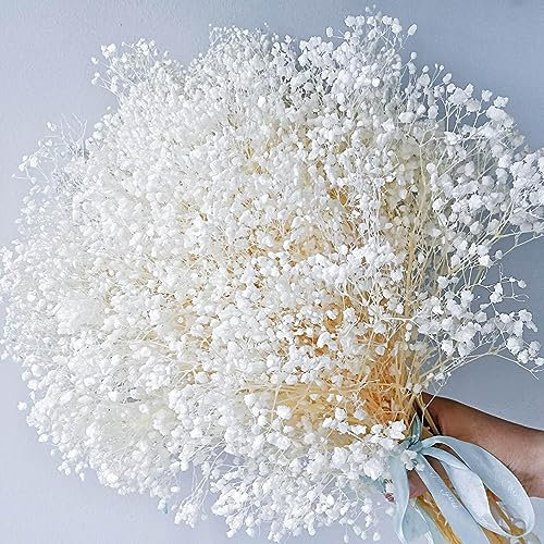 Dried Baby's Breath Flowers Bouquet - 3500+ Pure White Dry Flowers Bulk, 17'' Real 100% Natural Gypsophila Branches for Wedding, DIY Home Party Table Vase Decor, Wreath Floral