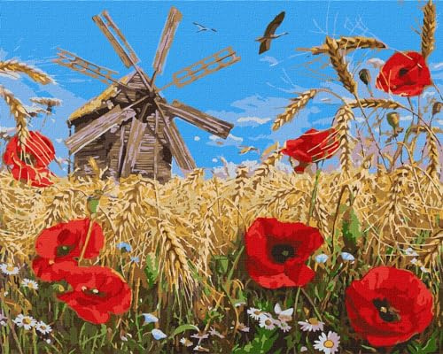 IDEYKA Neuer Ernte - Malen nach Zahlen für Erwachsene, einfaches Acryl-Malen nach Zahlen für Erwachsene, malen nach zahlen erwachsene mit rahmen,DIY-Malen nach Zahlen als Geschenk, 40х50cm