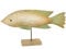Logbuch-Verlag Große Holzfisch Figur zum Hinstellen 40 x 22 x 7 cm aus Mangoholz als mediterrane Holz Deko beige Mint türkis