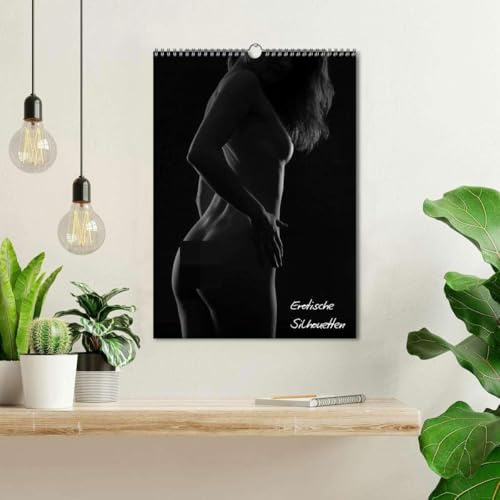 Erotische Silhouetten/CH-Version (Wandkalender 2026 DIN A3 hoch), CALVENDO Monatskalender: Das Spiel mit Licht und Schatten (CALVENDO Erotik)