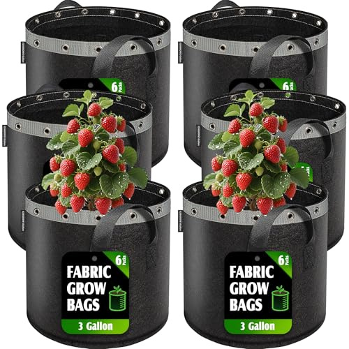 EZ4GROW 3 Gallon Grow Bags 6 Pack,Premium 3 Gallon Fabric pots for Healthy Plant Growth - Durable and Reusable Garden Bags to Grow Vegetables,Fruits,and Flowers