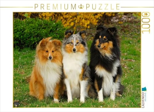CALVENDO Puzzle EIN Motiv aus dem Kalender Sheltie 2017 | 1000 Teile Lege-Größe 64 x 48 cm Foto-Puzzle für glückliche Stunden