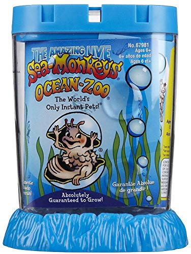 Schylling Sea Monkeys - Experimentierkoffer: Universum - Bildungsmaterial für Kinder und Jugendliche aller Altersgruppen