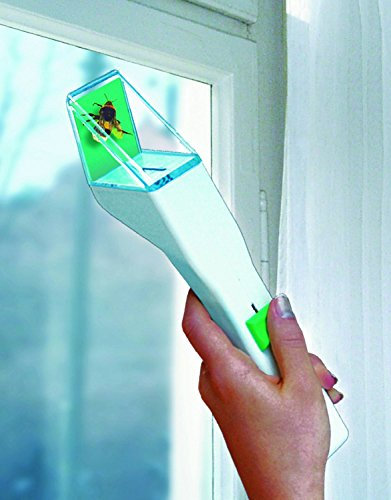 Snapy der Insektenfänger (4 er Set, grün)