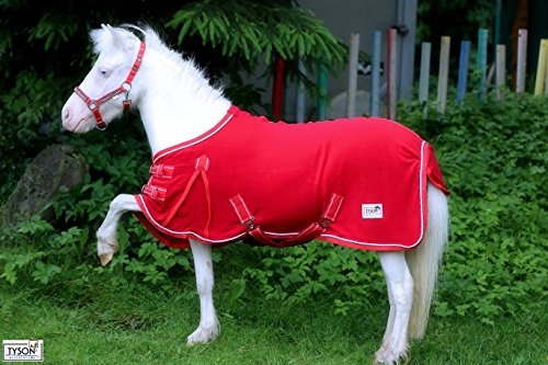 Abschwitzdecke ROT Knallrot Minishetty Mini Shetty 60 65 70 75 80 85 90 95 100 Tysons Breeches Minipony Line (80)