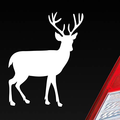 Hellweg Druckerei Hirsch Reh Bock Deer Wild Jagd Wald Jäger KFZ Car Auto Aufkleber Sticker Heckscheibenaufkleber