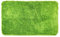 WohnDirect Badezimmerteppich groß Grün - Badematte rutschfest 60 x 100 cm - Badteppich Set, waschbar