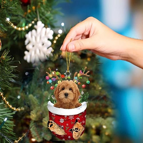 Schnoodle in Snow Pocket Christmas Dogs Acrylic Funny Dog Animal Ornament RED Stocking Glass Packs for One Size