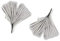 Mittelgroße Ginkgo-Blatt Ohrstecker aus mattiertem 925 Silber - leichte schöne Ohrstecker mit Ginkgo-Motiv, Handarbeit aus Deutschland