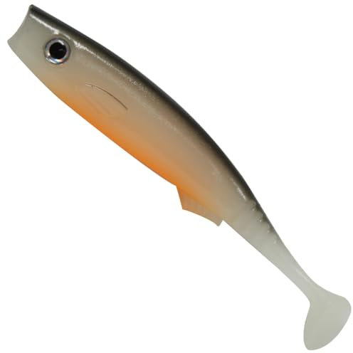 Seika Pro Gummifisch Fortuna Shad 10cm - 5 Gummiköder, Farbe:Sunburn Fish