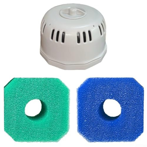 ZiStarlilife Boîtier de filtre P6653 pour piscines gonflables, spas, boîte de filtre de type VI pour Intex pour modèles Coleman 90352E 58323E 58324 avec accessoires en éponge (A)